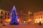 Rynek